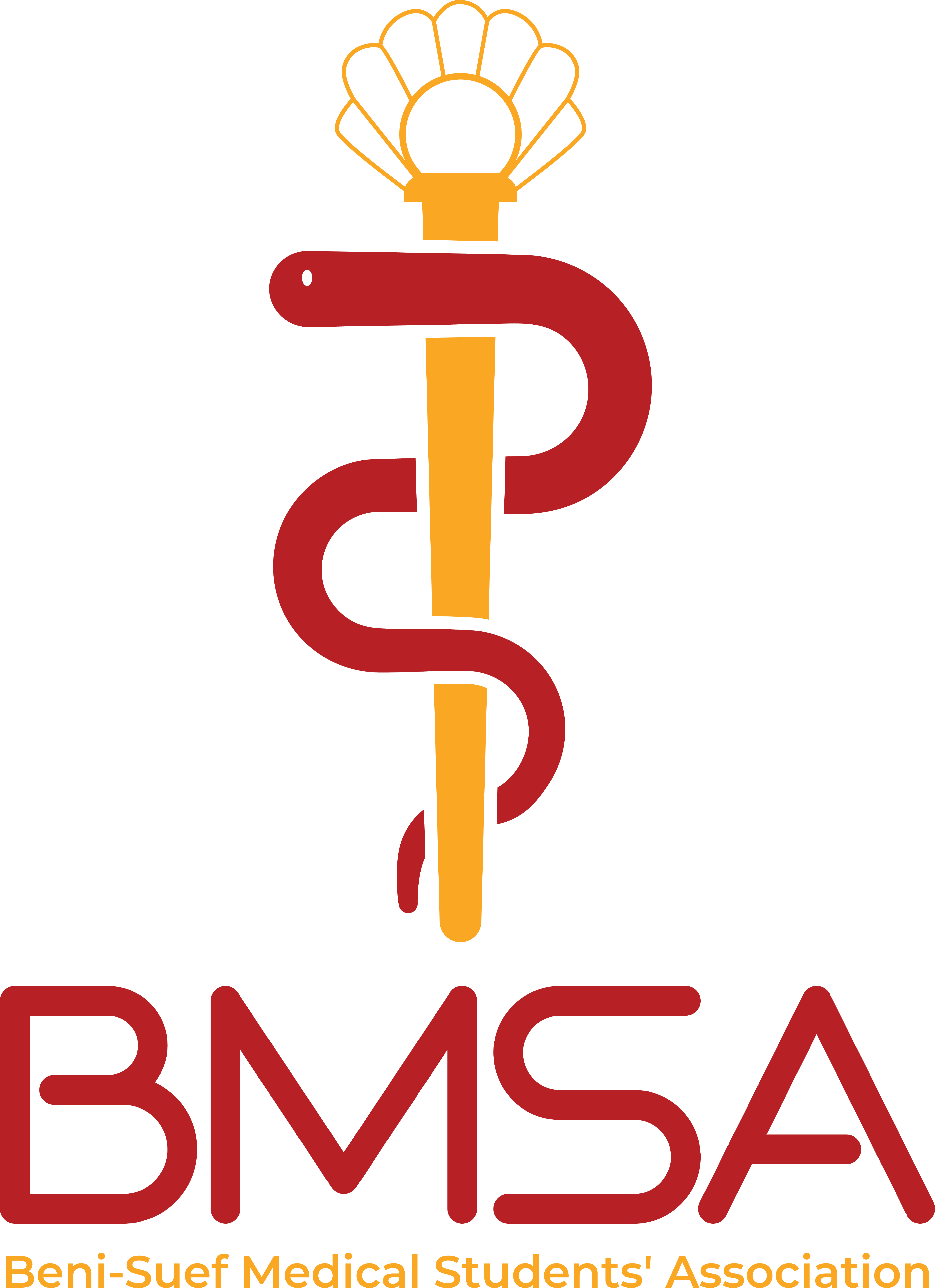 BMSA Benisuef